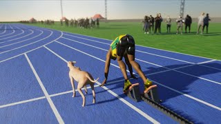 Usain Bolt VS Fastest Dog [upl. by Seuqram]