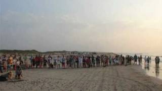 Nesting by the Endangered Kemps Ridley Sea Turtle [upl. by Weikert]