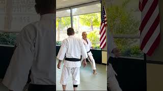 Karate Powerful Punch Techniques [upl. by Marjorie]