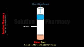 Biuret Test  Chemical Test for Protein  Biochemical Test for Protein  Animation Video English [upl. by Aronid382]