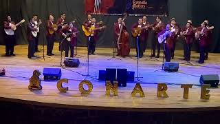 La Bikina  Rondalla Interamericana de Puebla Pue EN VIVO [upl. by Tiffie]