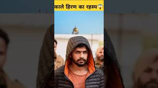 Bishnoi samaj mein Kale Hiran ko Bhagwan kyon Mana jata hai shortsfeed facts ytshorts [upl. by Iatnahs]