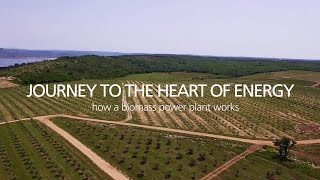 Journey to the heart of Energy  How a biomass power plant works [upl. by Baudelaire42]