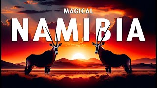 MAGICAL NAMIBIA  The Amazing Wildlife of Namibia Full Documentary [upl. by Nuahsar196]