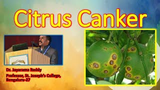 Citrus canker Xanthomonas oxonopodis by Dr Jayarama Reddy [upl. by Sirronal950]