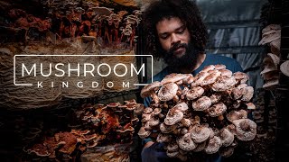 Cultivating Gourmet and Medicinal Mushrooms  PARAGRAPHIC [upl. by Aidam]