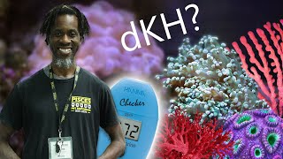 Testing Alkalinity in your Reef Aquarium with Hanna dKH Checker [upl. by Hogue312]