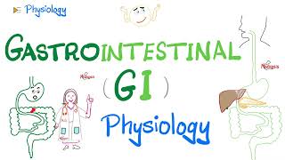 Gastrointestinal GI Physiology…The Basics Introduction  Physiology Series [upl. by Vanzant]