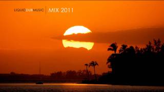 Liquid Dubstep Music  Mix 2011 [upl. by Georgianna]