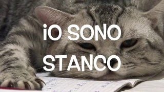 Italian Lesson n10  stati danimo e fisici  feelings [upl. by Allemahs]