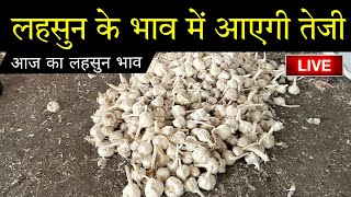 18 November 2024 AAJ KA LAHSUN BHAV  GARLIC RATE TODAY  UJJAIN MANDI LAHSUN BHAV garlicprice [upl. by Egiarc]