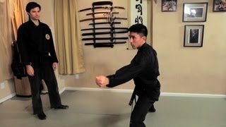 How to Do the Fu No Kata Technique  Ninjutsu Lessons [upl. by Viola]