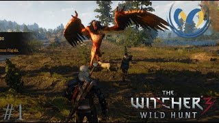 The Witcher 3 1  Missão Principal  Lilás e Groselha Gameplay [upl. by Shutz]