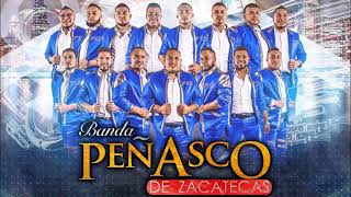 Banda Peñasco de Zacatecas Disco 2017 En Vivo [upl. by Odnamla]