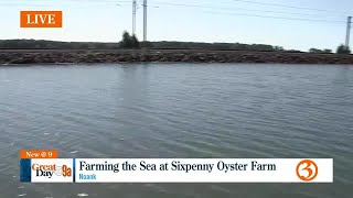 Sixpenny Oyster Farm [upl. by Ahsienar352]