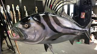 Rooster Fish Trophy Mount Gray Taxidermy Fishmounts [upl. by Natsyrk622]