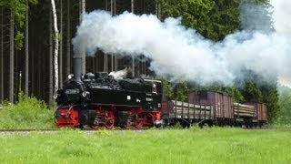 125 Jahre Schmalspurbahnen im Harz  Güterverkehr wie zu ReichsbahnZeiten [upl. by Boylan]