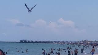 B2 Stealth Bomber flies over Miami Beach 53021 [upl. by Ylas480]