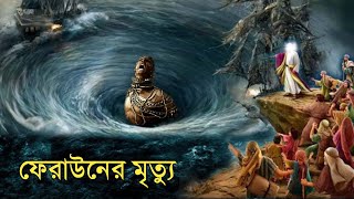 ফেরাউনের শেষ পরিনতি  মুসা নবী ও ফেরাউনের কাহিনী  ইসলামিক কাহিনী  OUR ISLAM [upl. by Nalek]