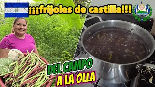 Cortando frijoles de castilla ¡El primer paso para una deliciosa comida Salvadoreña [upl. by Atiniuq]