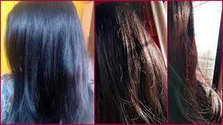 Henna hair dye to get deep brown to chocolate brown hair color  Cover grey hair [upl. by Lithea184]