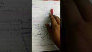 Carotid triangle 10marksanatomy [upl. by Tapes]