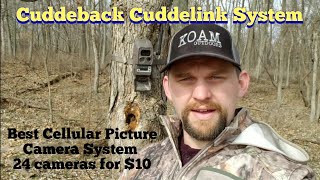 Cuddeback Cuddelink System 16 cameras 24 cameras now  KOAM Outdoors Reviews [upl. by Kristin]