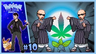 POKÉMON PERSEIDA 10  EL SÓTANO SECRETO DE LOS MONJES DE LA MARÍA  FloGar oO [upl. by Broddie467]