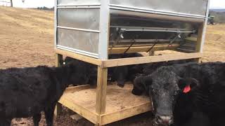 6000 Cattle Feeder for 500 Homemade Arduino Automatic Cattle Feeder [upl. by Retsevel]