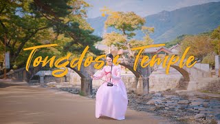 Playlist Visit Tongdosa Temple with KDrama Soundtracks  Haegeum 4K ASMR  Heritage Window Ep2 [upl. by Eelano]