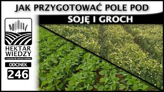 JAK PRZYGOTOWAĆ POLE POD SOJĘ I GROCH  ODCINEK 246 [upl. by Jeanine]