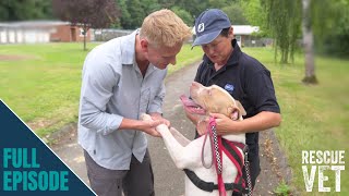 Emotional revisit to RSPCA to celebrate their 200th birthday  Rescue Vet with Dr Scott Miller [upl. by Trah729]