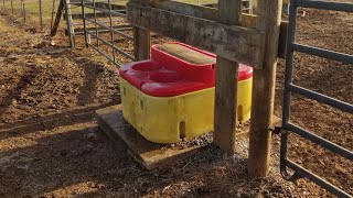 Ritchie water troughs and why we insulate them during the winter [upl. by Atirat]