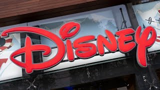 ‘Illegal and obviously immoral’ Disney VP admits to avoiding hiring white men [upl. by Sukramal756]