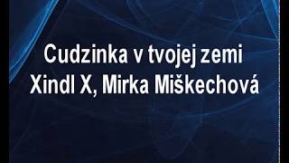 Cudzinka v tvojej zemi  Xindl X Mirka Miškechová Karaoke tip [upl. by Archambault]