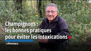 Champignons  les bonnes pratiques pour éviter les intoxications [upl. by Yddub]