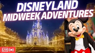 Disneyland LIVE rides attractions characters  IRL Stream [upl. by Corrinne]