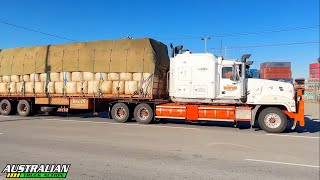 Aussie Truck Spotting Episode 224 Gillman South Australia 5013 [upl. by Born]