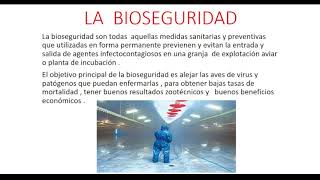 BIOSEGURIDAD EN GRANJAS AVICOLAS [upl. by Mcbride]