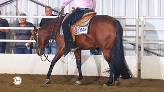 I Emma Machine 2017 AQHA Mare [upl. by Couhp]