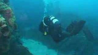 Scuba Diving Point Lobos  The Needle Dive [upl. by Marsden]