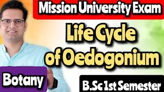 Life Cycle of Oedogonium bedkdian bsc1stsemester mjpru botany [upl. by Clarette]