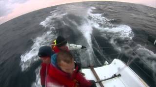 Seascape does Jabuka race 2013 with Beneteau First 27 SE [upl. by Gnof377]