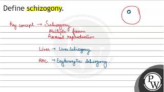 Define schizogony [upl. by Weaver]