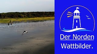 🔵 Wattbilder aus Cuxhaven [upl. by Ocinemod]