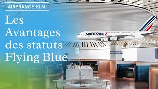 Les AVANTAGES des STATUTS AirFrance KLM [upl. by Vanda975]