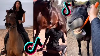 The Best HORSE TikTok Compilation 228 [upl. by Uke]