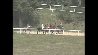 Prix de la Société des Courses de Pompadour 190812 [upl. by Naraj]