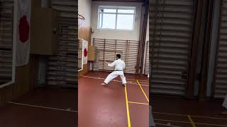 ArimotoSensei slowly demonstrating kata Bassaidai [upl. by Abigael]