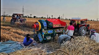 Wheat Harvesting Process in Punjab  Harvesting Season in Pakistan [upl. by Lienet]